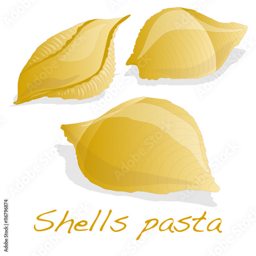Pasta - Conchiglioni "Shell Pasta"