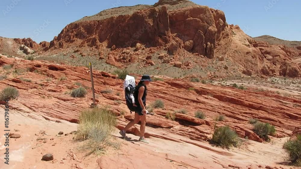 track to fire wave, valley of fire state park, nevada
track to fire wave, valley of fire state park, nevada