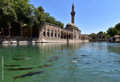 Balikligol in Sanliurfa is also known as the pool of sacred fish or the pool of Abraham photo
