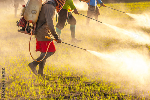 Bild auf Leinwand farmer spraying pesticide in the rice field, vintage color style