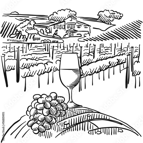 Vineyard with hills and Glass of Vine in Foreground photo