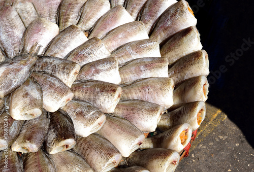 Dried fish photo