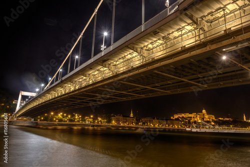 Night shot of Elizabeth bridge in Budapest,Hungary. © dannywilde