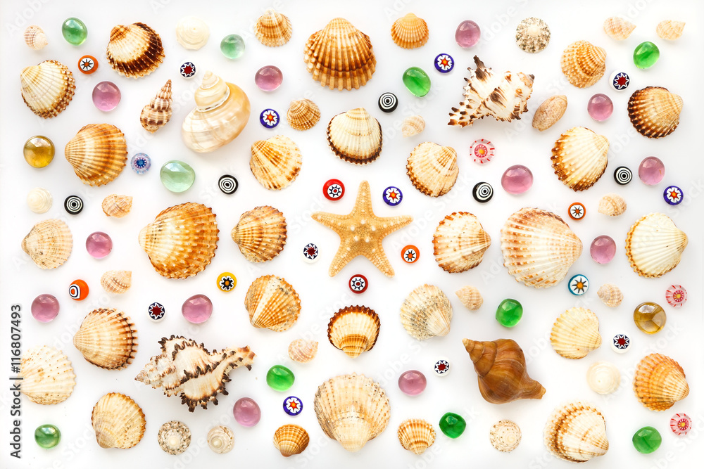 composition of different sea shells and glass beads on a white background. composition of different sea shells and glass beads on a white background.