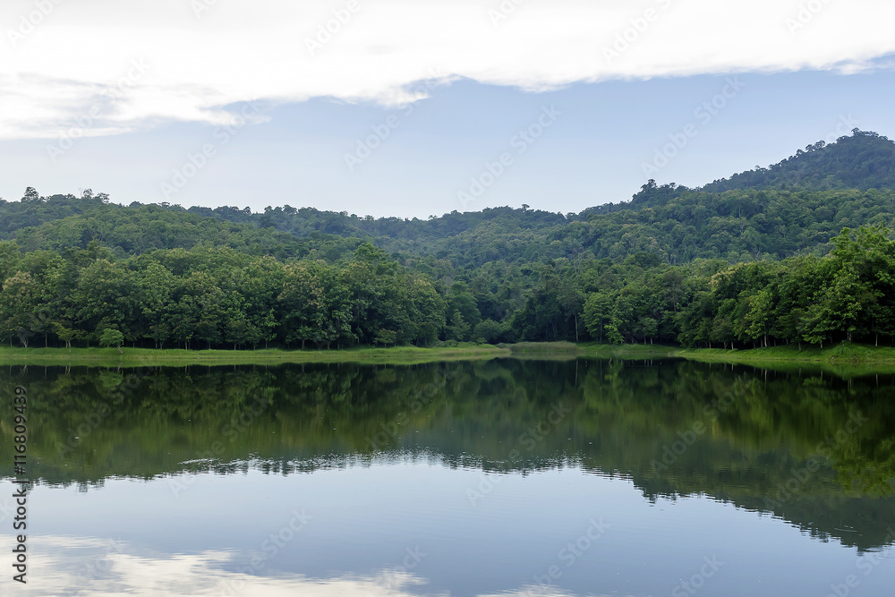 Forest background with reflection in the lake Forest background with reflection in the lake