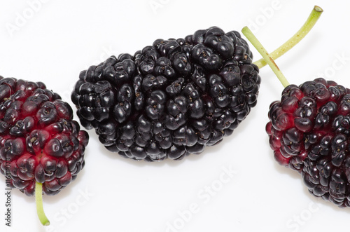 fruit of mulberry