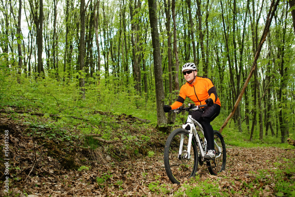 Fototapeta premium Biker on the forest road