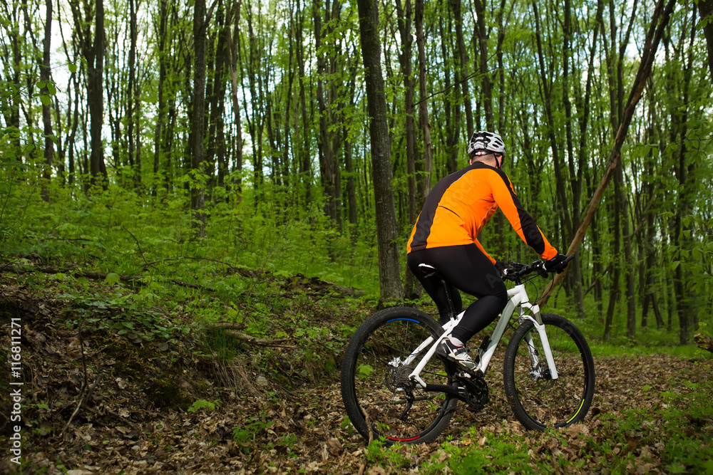 Naklejka premium Biker on the forest road
