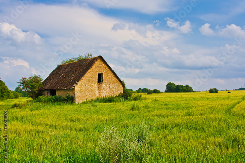 ountryside wide view of old ruined house with trees behind. Rural summer landscape. European pastoral field, meadow, pasture. Illustration of agriculture.