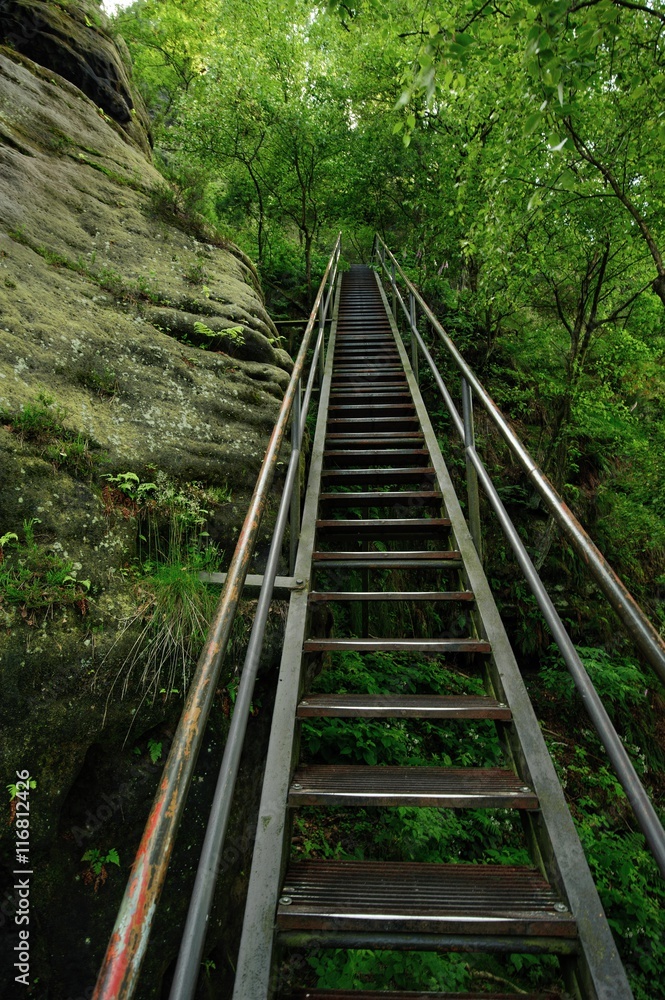 Tall ladder on the tourist route Tall ladder on the tourist route