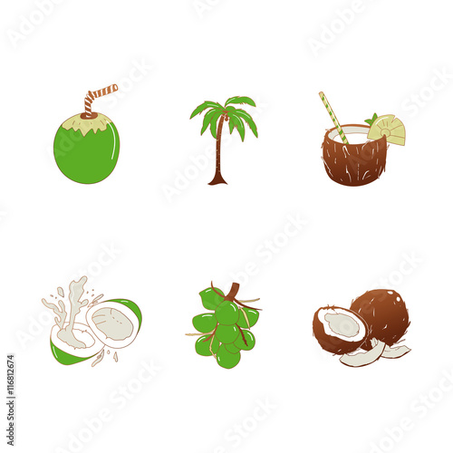 Vector illustration of coconut 