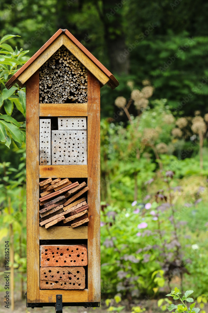 Insect house
