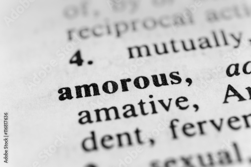 Bild auf Leinwand Amorous
