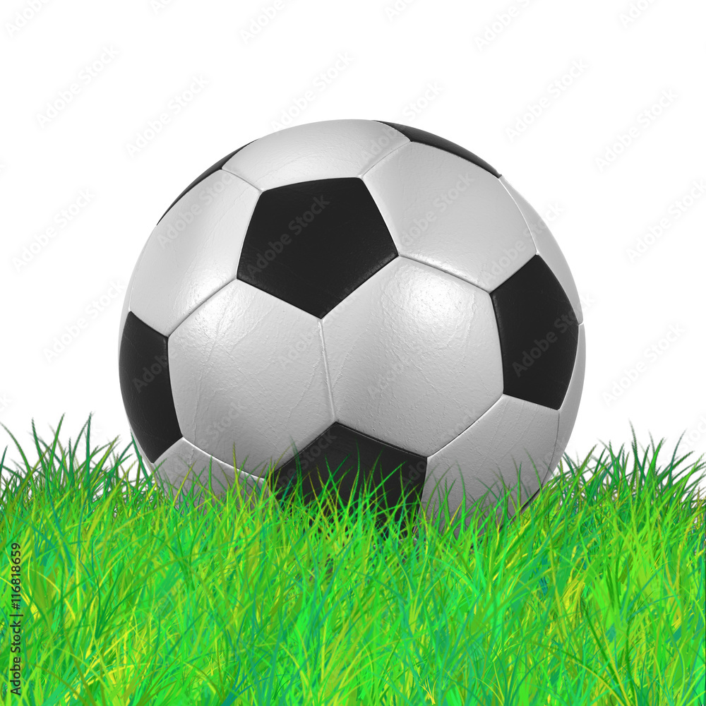 leather Soccer Ball on Grassl high resolution isolated 3D illustration leather Soccer Ball on Grassl high resolution isolated 3D illustration
