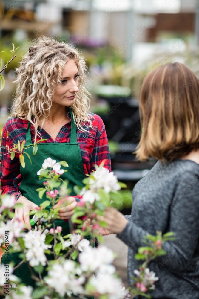 Florist talking to woman in garden centre Florist talking to woman in garden centre