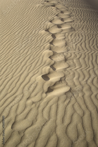 Sand dunes. Footprints in the sand. Gobi Desert  Mongolia.