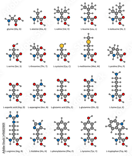 Amino acids, chemical structures.