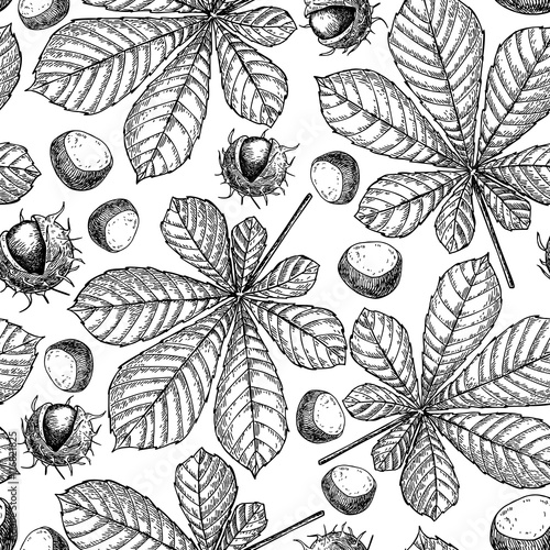 Seamless vector pattern with autumn leaves. Chestnut leaf and nu