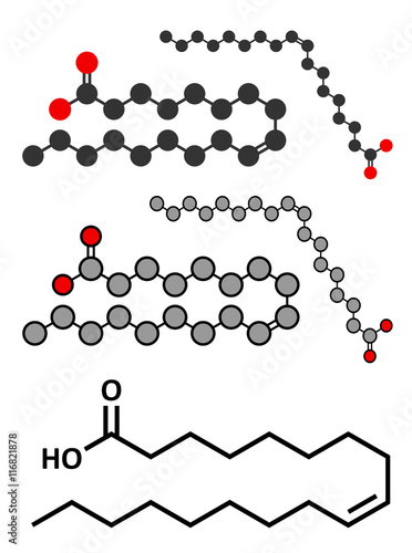 Oleic acid (omega-9, cis) fatty acid. 