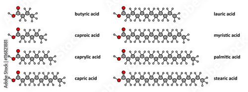 Saturated fatty acids: butyric, caproic, caprylic, capric, lauric, etc.