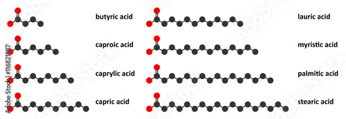 Saturated fatty acids: butyric, caproic, caprylic, capric, lauric, etc.