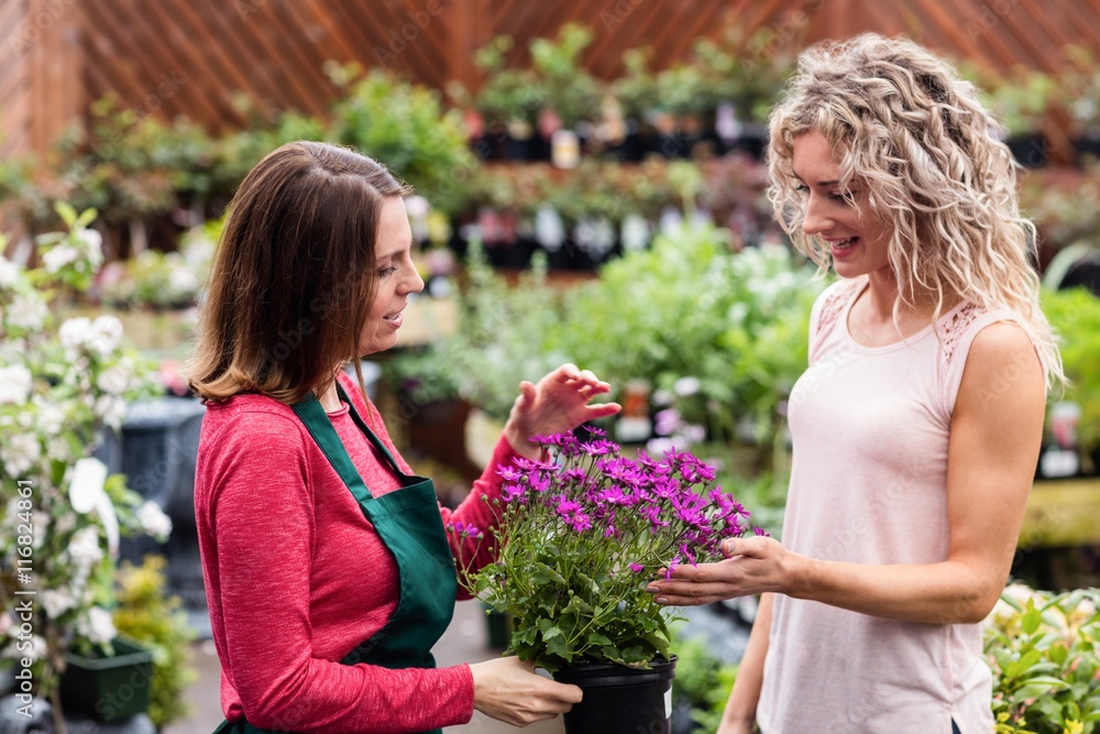 Florist showing flowers to woman in garden Florist showing flowers to woman in garden