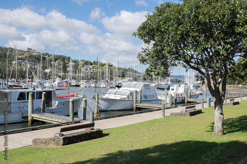 Boats moored at Whangarei Marina in the town basin. Northland, New Zealand, NZ. photo