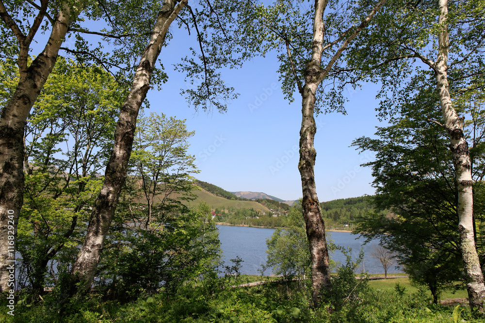 Obraz premium 白樺湖