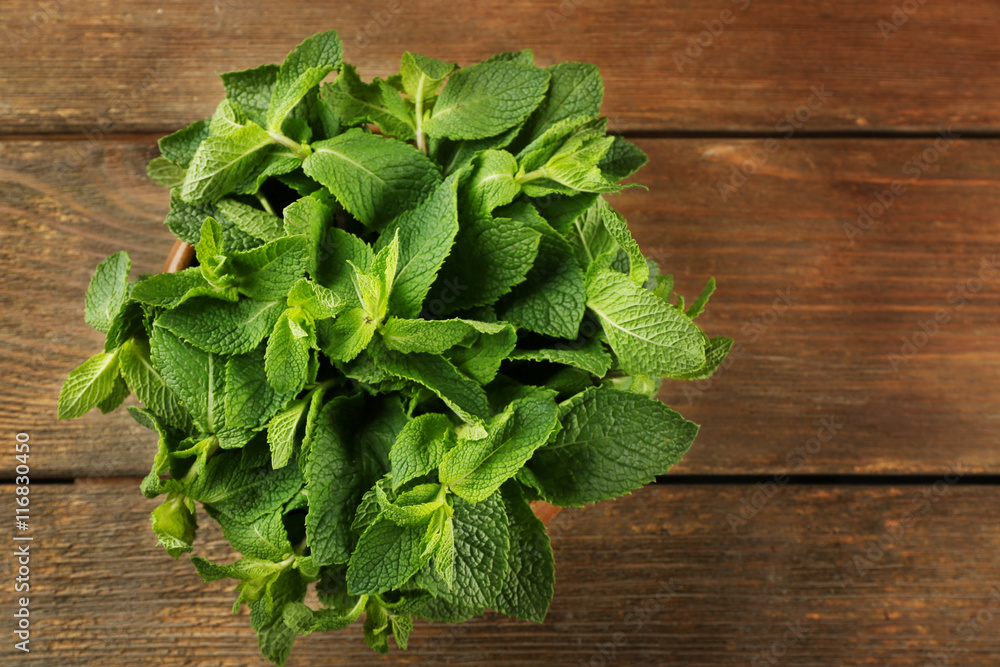 Fresh bunch of mint on wooden table Fresh bunch of mint on wooden table