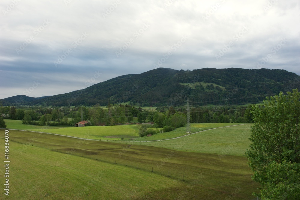 Bergwiese bei Bad Tölz Bergwiese bei Bad Tölz