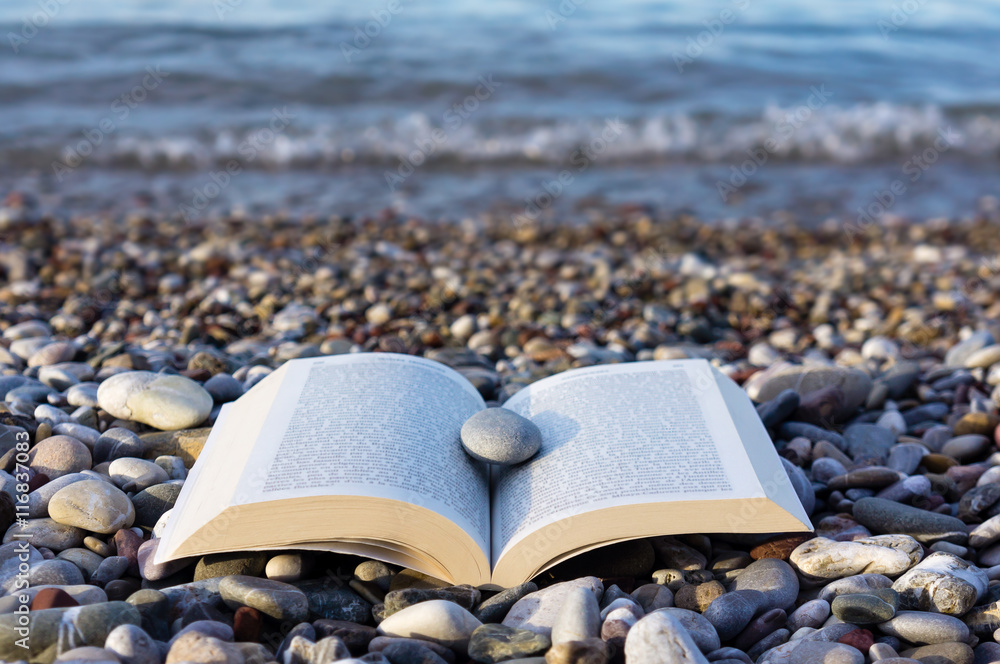 Obraz premium Book on the beach