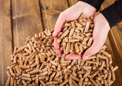 Woman hands holding wooden pellets made of biomass