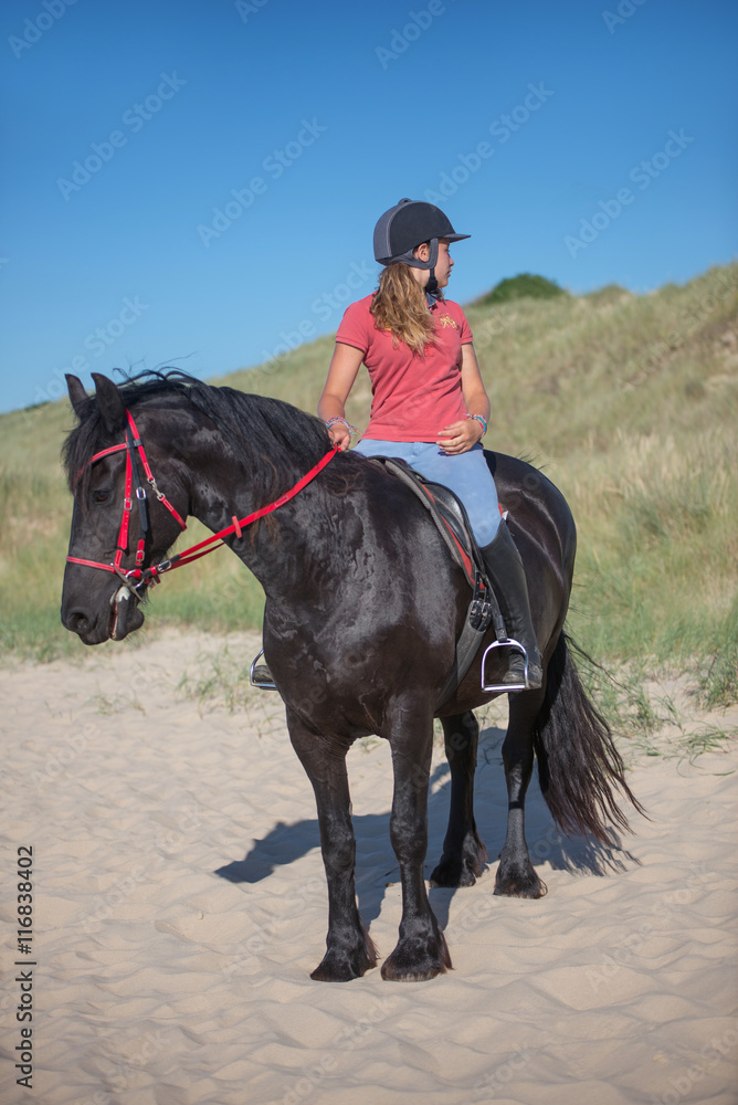 jolie jeune fille sur un frison jolie jeune fille sur un frison