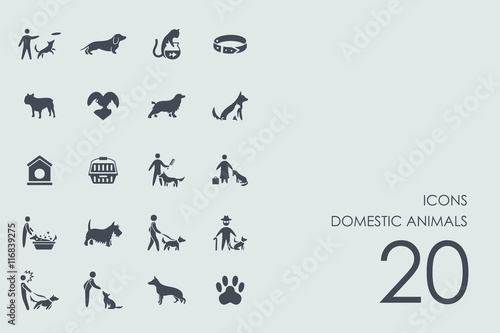 Set of domestic animals icons