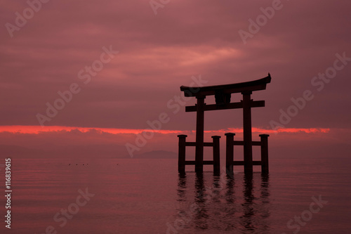 朝の白鬚神社の鳥居 © sakura