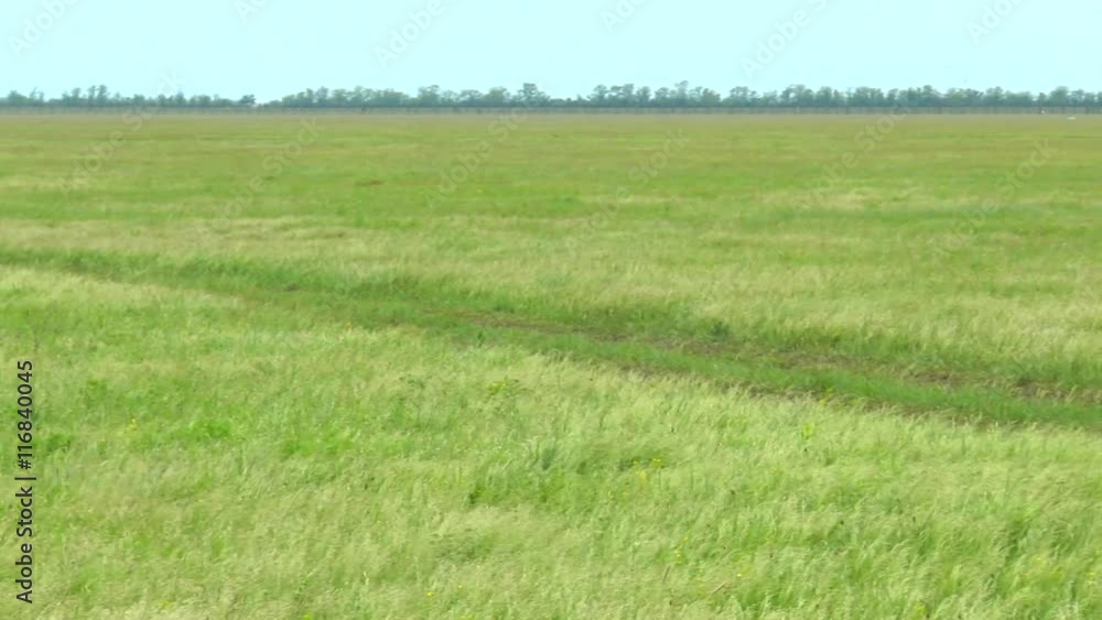 Panorama spring steppe . Slow motion. Video in a slowed double the Panorama spring steppe . Slow motion. Video in a slowed double the