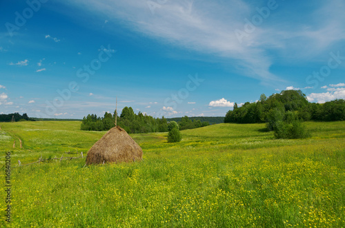 Haystacks on the summer meadow
