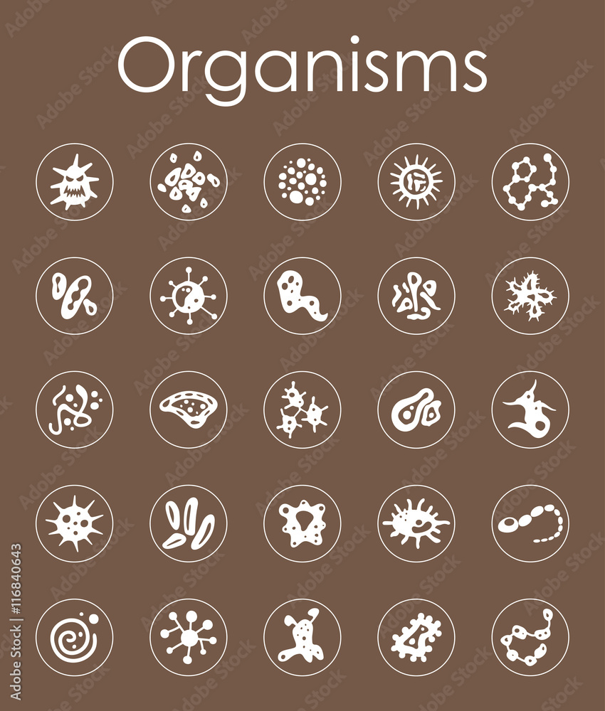 Set of organisms simple icons Set of organisms simple icons