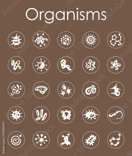 Set of organisms simple icons