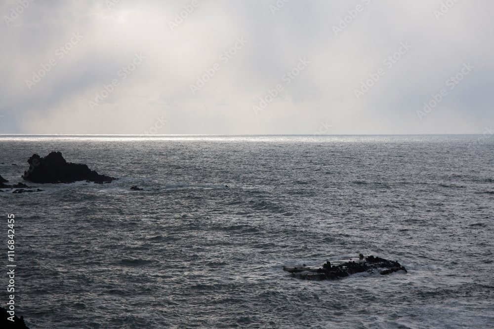 Fototapeta premium 冬の日本海