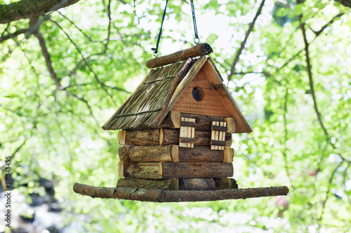 Starling house for birds on tree in summer park © Prostock-studio