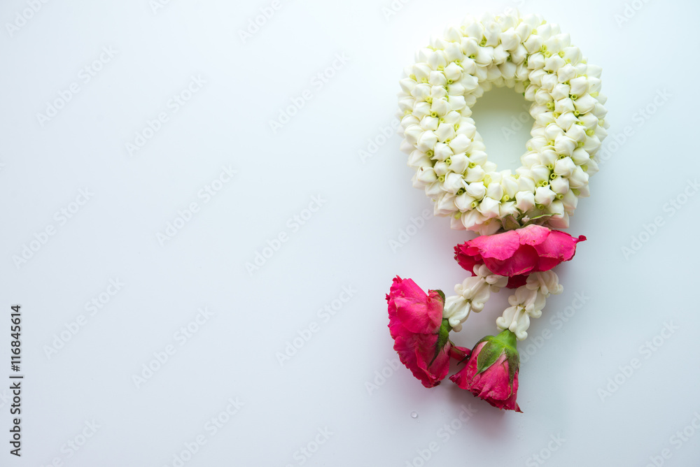 Thai traditional jasmine garland.symbol of Mother's day in thailand, to offer the monk or buddha. Thai traditional jasmine garland.symbol of Mother's day in thailand, to offer the monk or buddha.
