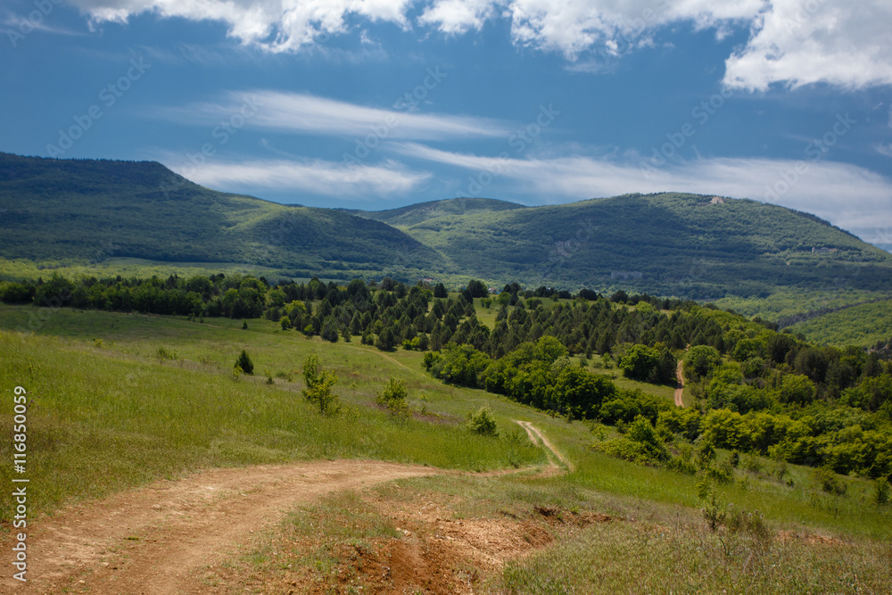 Summer field with road and clouds in blue sky.