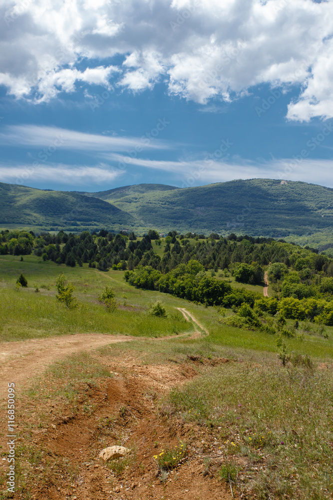 Fototapeta premium Summer field with road and clouds in blue sky.