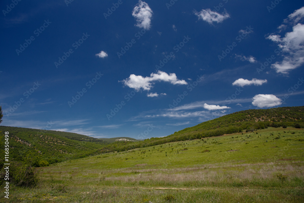 Summer field with road and clouds in blue sky.