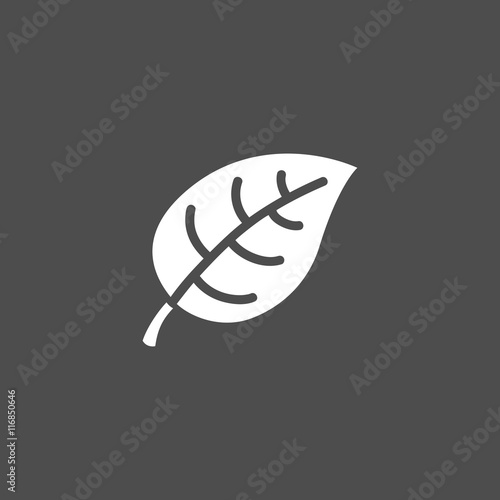 Leaf icon on dark background