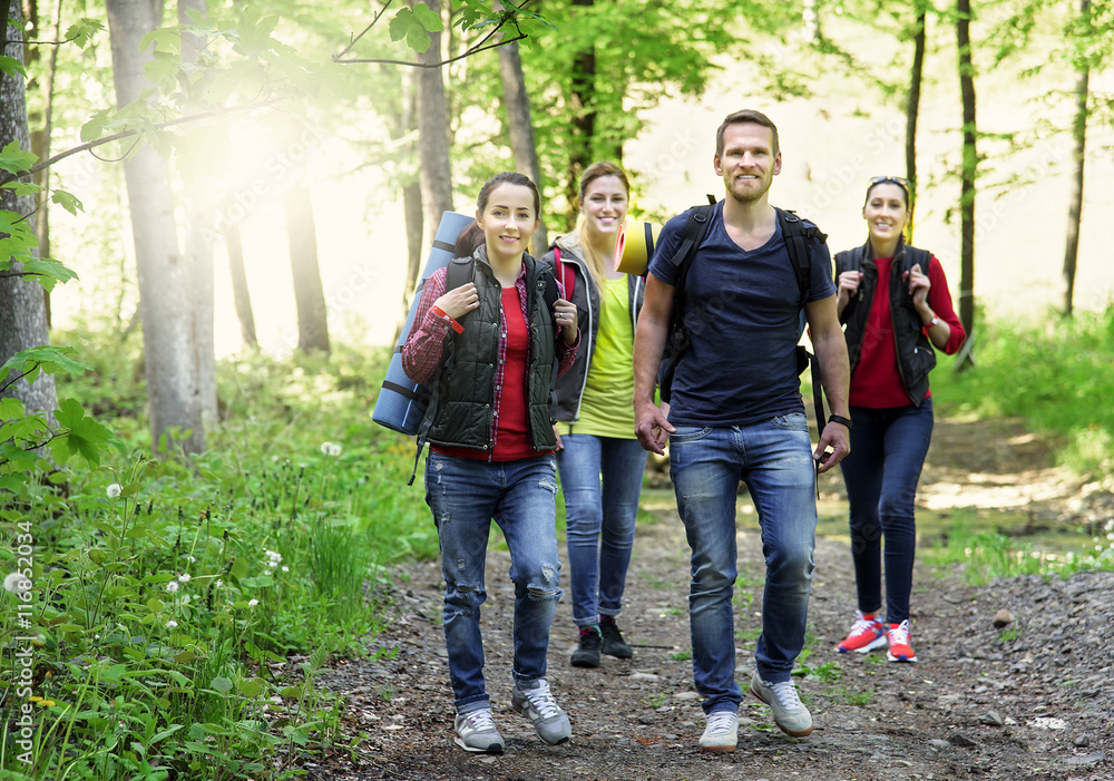 Hikers in forest. Hikers in forest.