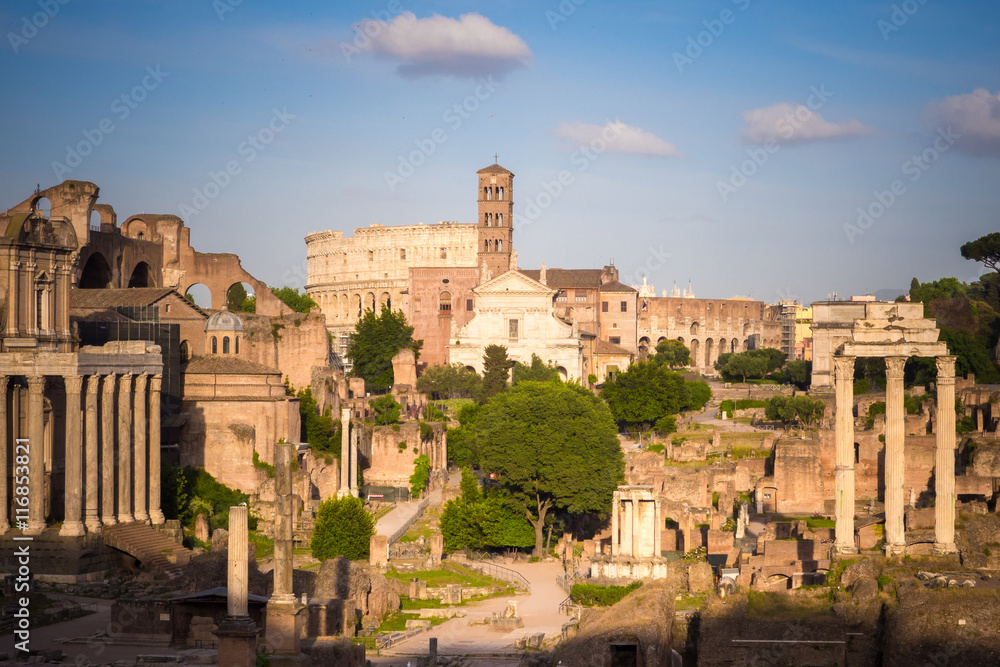 Forum Romanum with Colosseum in background, Rome, Italy