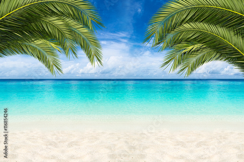 coco palms  tropical paradise beach background with turquoise blue water and blue sky / Paradies Traumstrand Hintergrund mit Palmen und blauem Himmel