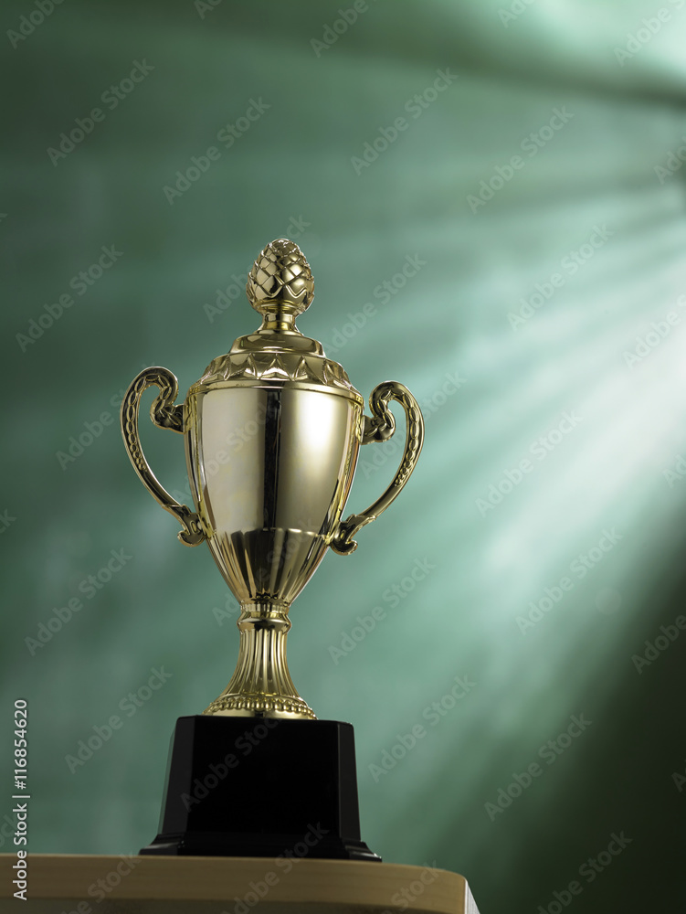 trophy trophy
